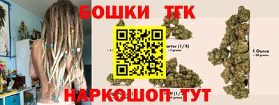 сатива Бердск