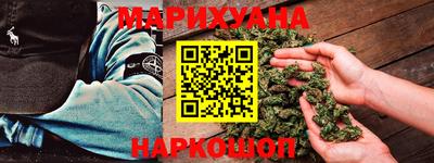 сатива Бердск