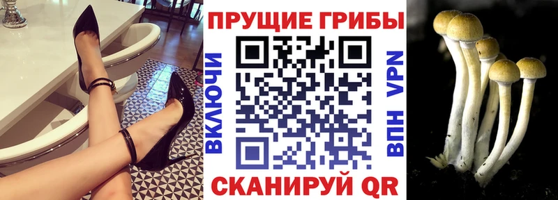 Псилоцибиновые грибы мухоморы  Новокузнецк 